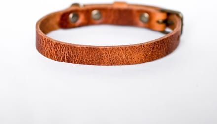 Cooper & Quint No Fuss - Halsband Hond - Leren Halsband Hond - Camel - Oud messing - Large