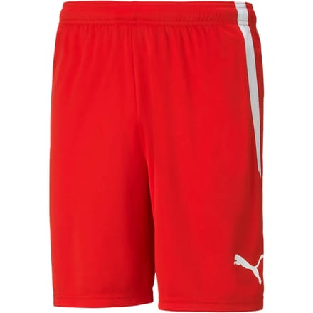 Short Puma Team Liga