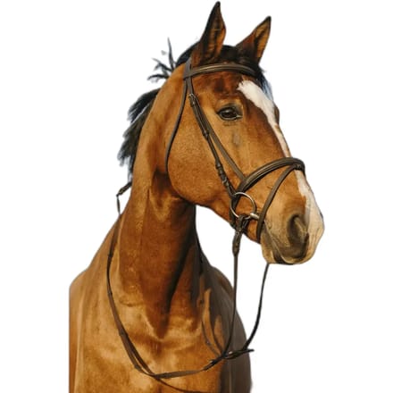 Dubbelzijdige gecombineerde muserolle voor paardrijden Riding World