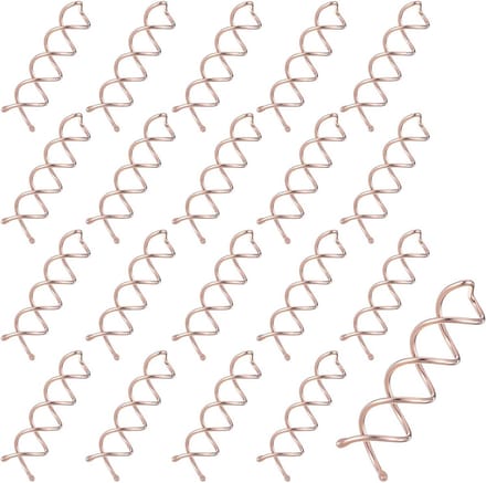 Pack van 20 Spiral Haarclips voor Diverse Haardrachten
