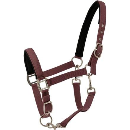 Halster voor paarden Norton Nacre