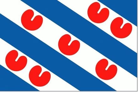 Vlaggetje Friesland 20x30cm
