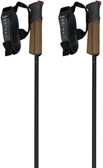 Fischer Gt 11 Carbon Mag Stokken Bruin 135 cm