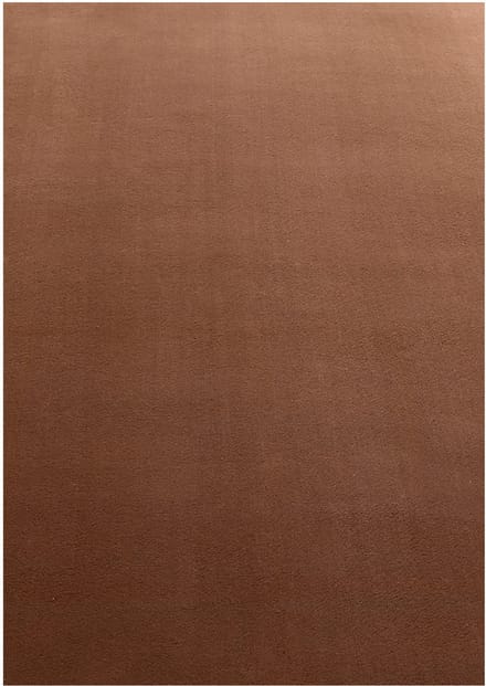 Laagpolig vloerkleed Sky (bruin) - 160x230 cm