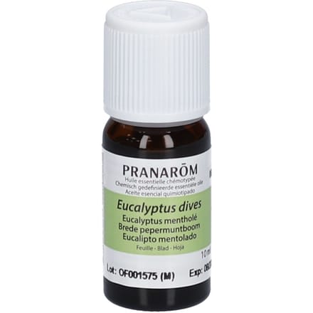 Pranarôm Essentiële Olie Eucalyptus-Munt 10 Etherische olie