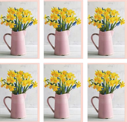 MGPcards - 6x dubbele wenskaart met envelop - Blanco - Bloemen - 11,5 x 17 cm