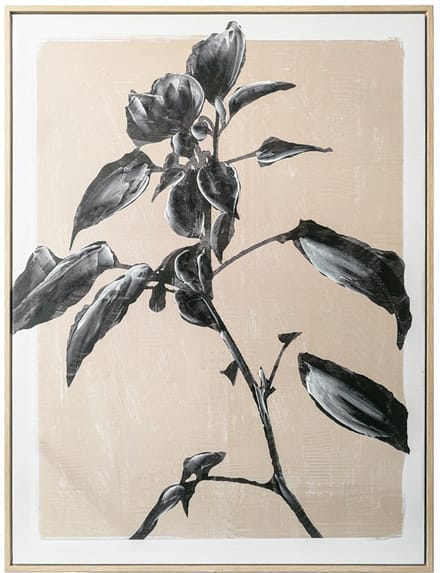 Schilderij bloem zand