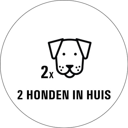 Honden in huis sticker - 80 x 80 mm 2