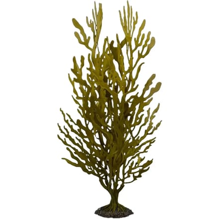 Kunstplant aquariumdecoratie Aqua Della Kelp buisson