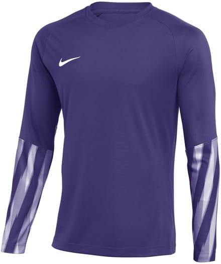 Nike Team Sweater Heren Dri-FIT Park V Stadium Paars - Maat M