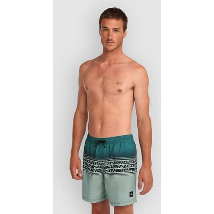 O'Neill Logo Stripe 16'' Boardshorts groen