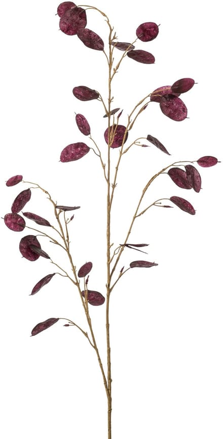 Emerald - Kunstbloem Judaspenning 120cm paars - Kunstplant voor binnen