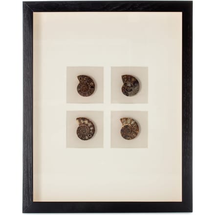 Decoratief wandobject Valuable I 41cm x 51cm | Decorationable