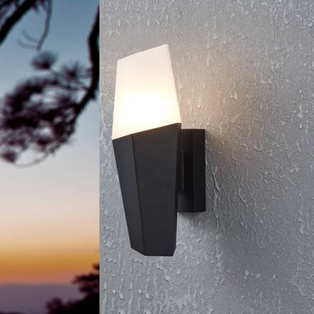 EGLO Buitenwandlamp Farindola in zwart/wit