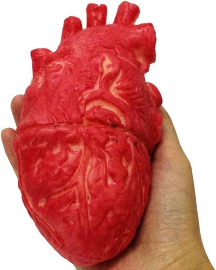 Nep Menselijk Hart - Rechthoog Hart - Horror Decoratie - Levensgroot Ontwerp - 18 x 10 cm - Rood