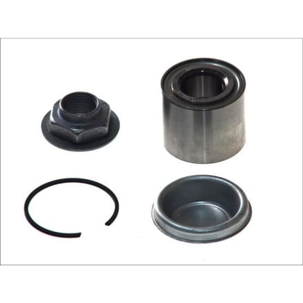 Wiellagerset SNR R166.33