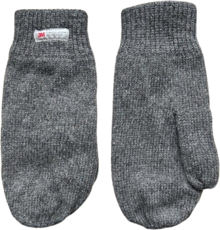 Heren wanten - Winter want - Thinsulate - Wol - Grijs - One size