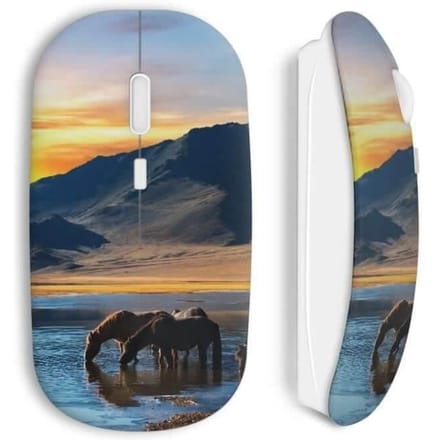 Souris Sans Fil - Cheval - Blanc - USB Wifi - Compatible Mac et PC - Technologie Sans Fil