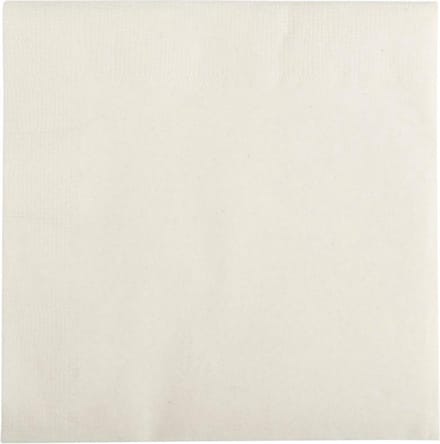 Serviettes Wit 100 stuks-2 laags