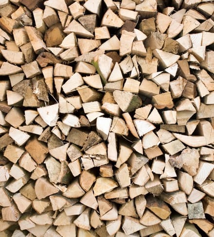 Fotobehang - Timber Logs 225x250cm - Vliesbehang