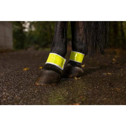 Paar elastische paardenbandages voor de achterhand Norton