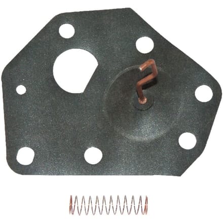 Briggs & stratton membraan