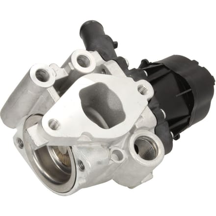 EGR-klep DELPHI EG10482-12B1