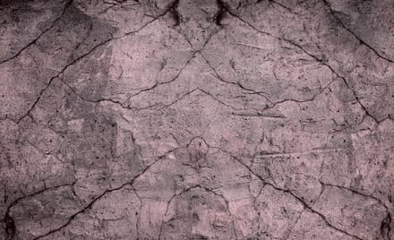 Wood Texture Photo Wallcovering