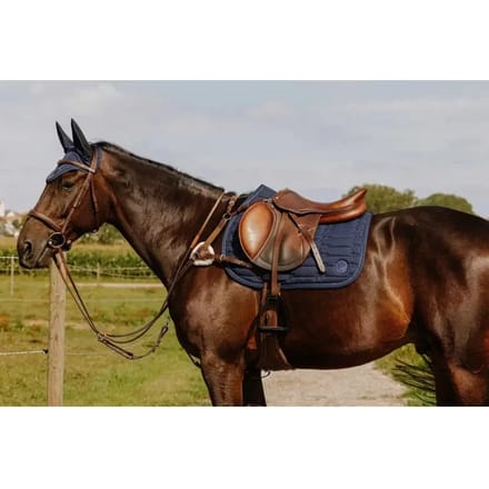 5-punts jachthalsband voor paarden Norton Pro