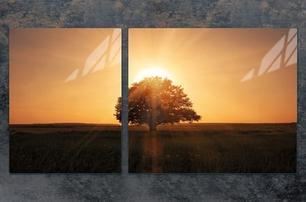 TMK ArtDeko - Snijplank - 100x52 cm - Beschermplaat - Hout Look