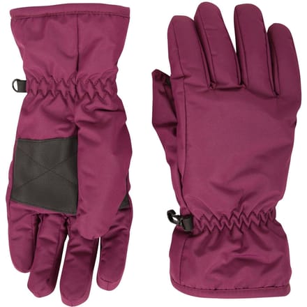 Mountain Warehouse Dames/Dames Skihandschoenen (Donkerpaars)