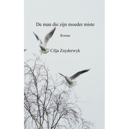 De Man Die Zijn Moeder Miste - Cilja Zuyderwyk