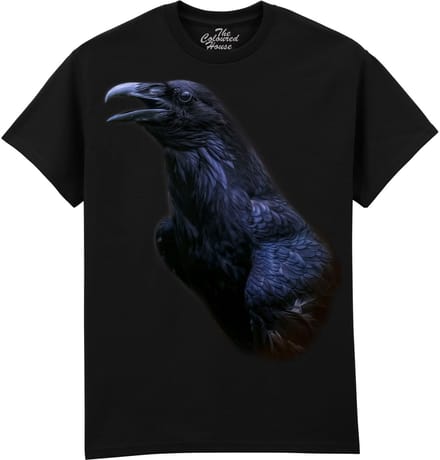 Raaf The Messenger - Raven The Coloured House T-shirt M