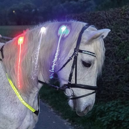 LED-haarspelden USG (x4)