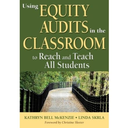 Using Equity Audits In The Classroom To Reach And Teach All Students - McKenzie