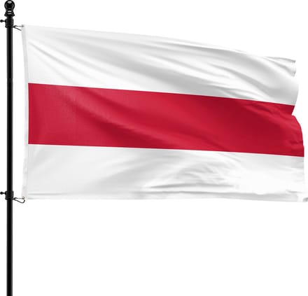 VlagDirect - Brielle vlag - Gemeente Brielle vlag - 90 x 150 cm.