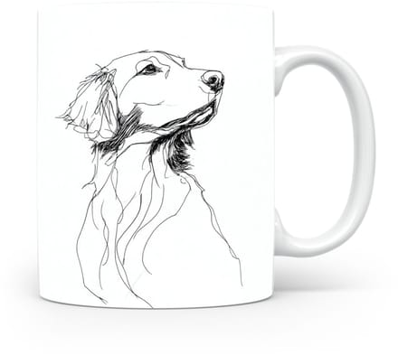 Beker Flatcoated Retriever
