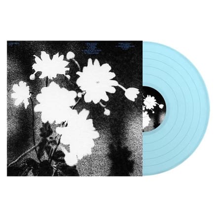 Last - Loma Prieta