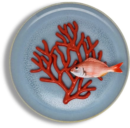 Koraal medio met Pagello piccolo op lichtblauw bord, 26cm rond