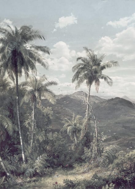 Fotobehang - The Exotic Land 200x280cm - Vliesbehang