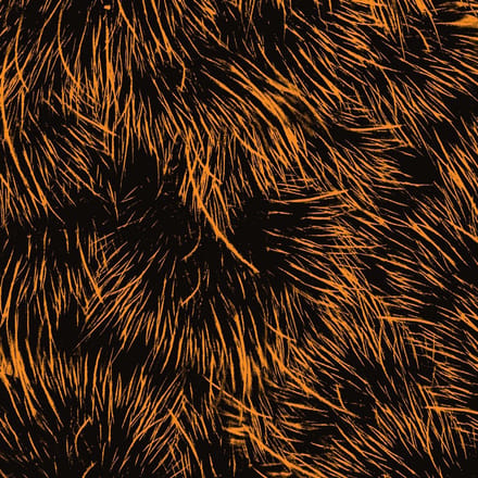 Project Pablo - Hope You're Well (2 12" Single)