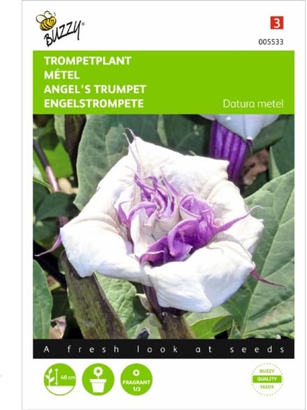 Buzzy Zaden - Doornappel (Datura metel)
