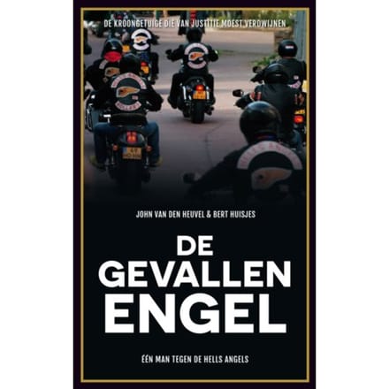 De Gevallen Engel - John van den Heuvel