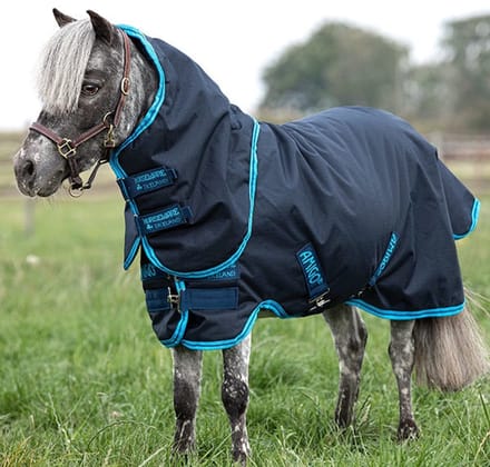 Horseware Amigo Hero 6 Petite Plus Turnout 90 Delphinium