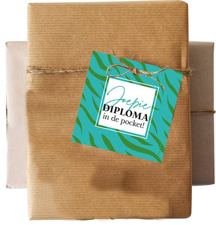 Set 5 kadokaartjes klein – gefeliciteerd - geslaagd - diploma in de pocket - einde schooljaar - studie - Wildcards