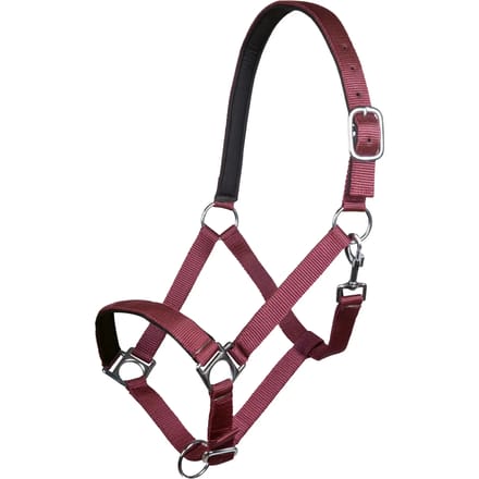 Halster voor paarden HKM Stars