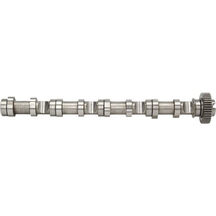 Nokkenas  AE CAM961