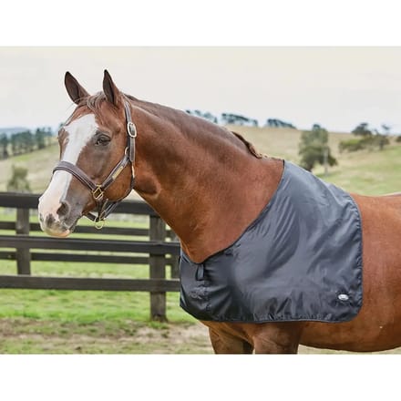 Satin borstbeschermer voor paard Weatherbeeta