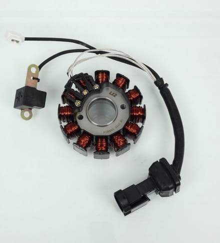 Dynamo RMS voor Scooter Piaggio 125 Carnaby 2007 tot 2010 639727 / M60200 Nieuw