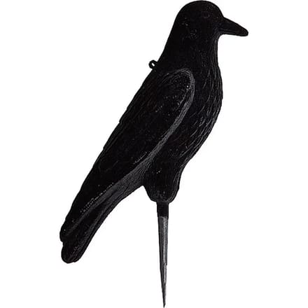 Grote corbeau roep op pin Stepland (x12)